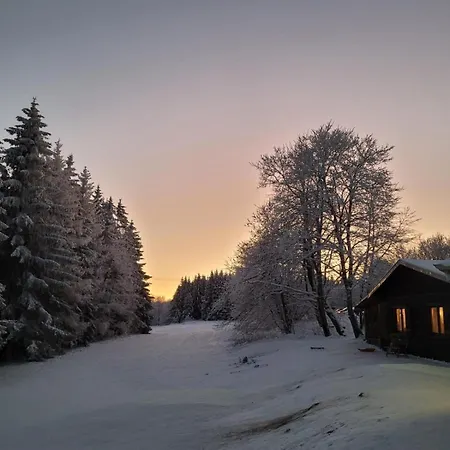 Haus Martha - Modernes Apartment- Wintertraum Im Westerwald Appartement *
