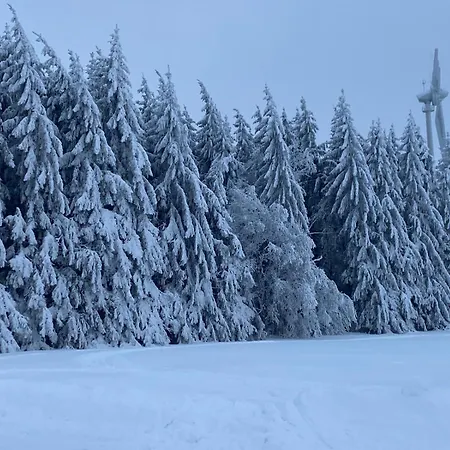 Haus Martha - Modernes Apartment- Wintertraum Im Westerwald