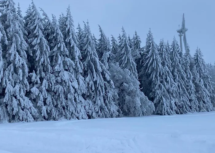 Haus Martha - Modernes Im Schoenen Westerwald