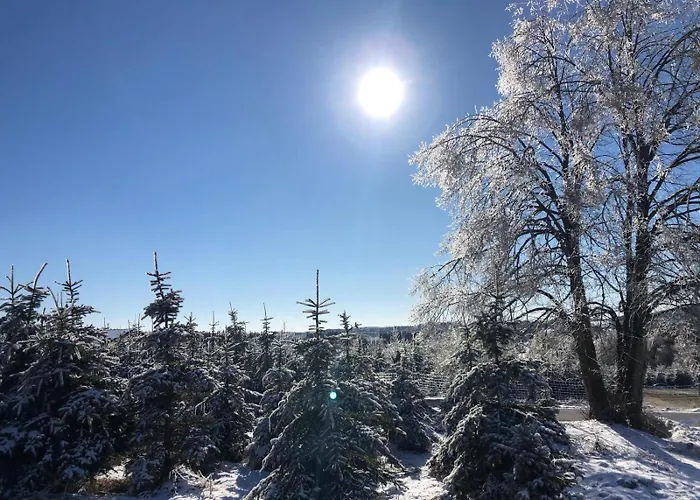 Apartamento Haus Martha - Modernes Apartment- Wintertraum Im Westerwald *